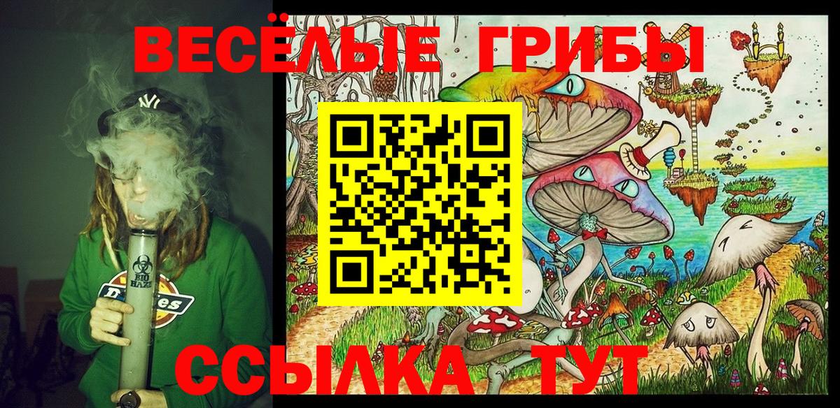 Псилоцибиновые грибы мухоморы Павлово