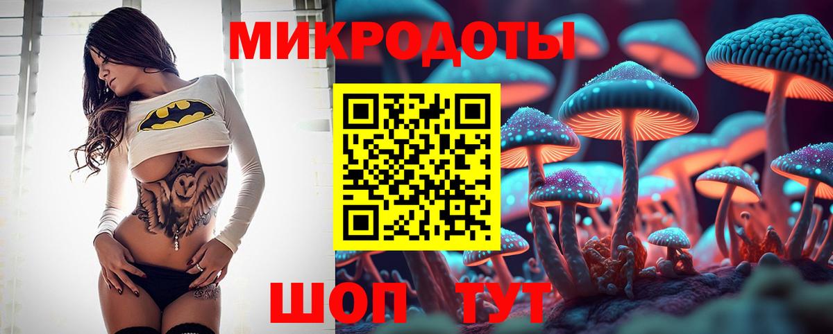 Павлово  Галлюциногенные грибы GOLDEN TEACHER  Вход с VPN 